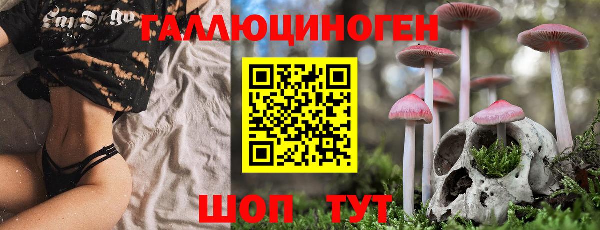 Псилоцибиновые грибы MAGIC MUSHROOMS Рассказово